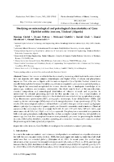 Studying on mineralogical and petrological characteristics of Gara Djebilet oolitic iron ore, Tindouf (Algeria)