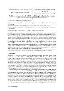 Artificial neural network (ANN) modelling to estimate bubble size from macroscopic image and object features