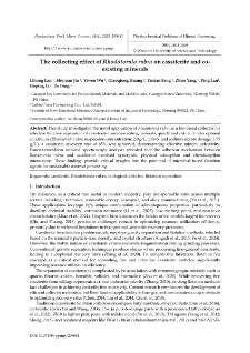 The collecting effect of Rhodotorula rubra on cassiterite and coexisting minerals