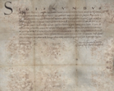 Zygmunt, kr&oacute;l polski, zawiadamia, że Janusz Swirczowski oświadczył, że Jan z Tarnowa, kasztelan wojnicki, wywiązał się z sum zapisanych na zamku w Rożnowie i wsiach doń należących