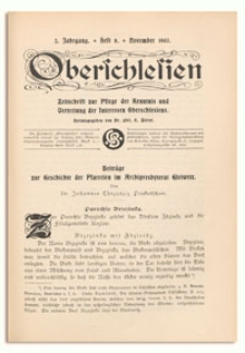 Oberschlesien. Zeitschrift zur Pflege der Kenntnis und Vertretung der Interessen Oberschlesiens. 2. Jahrgang, November 1903, Heft 8